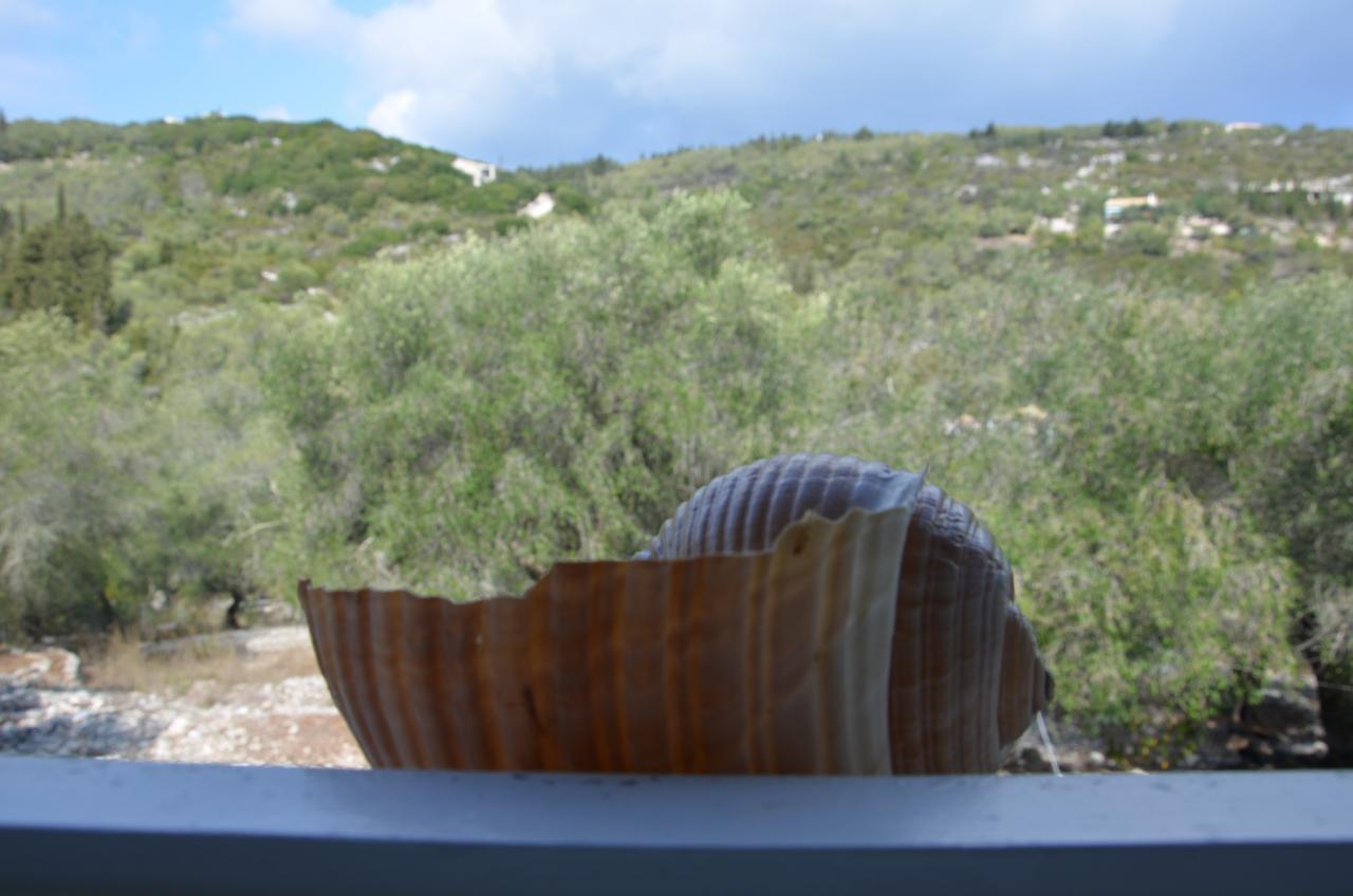 Villa Clementine Gaios Extérieur photo